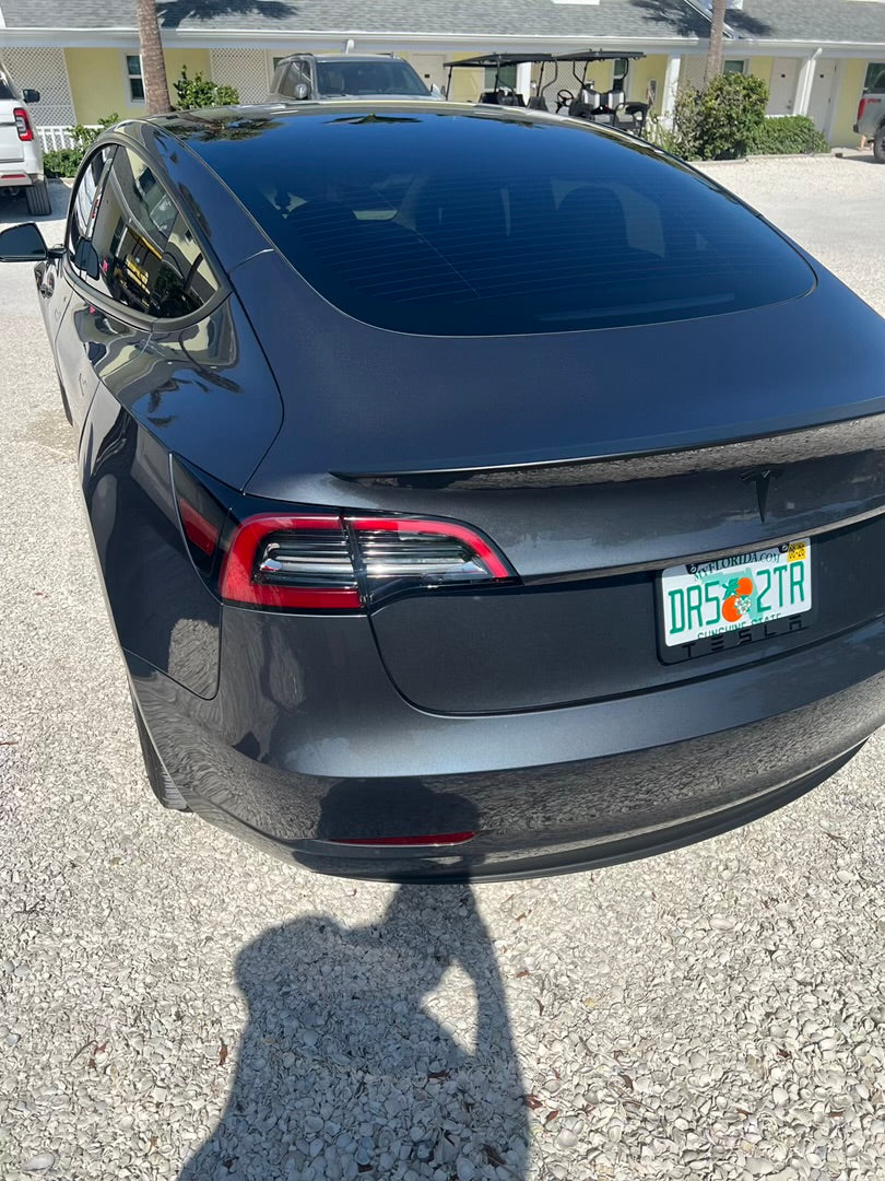 Model 3 Rental Experience