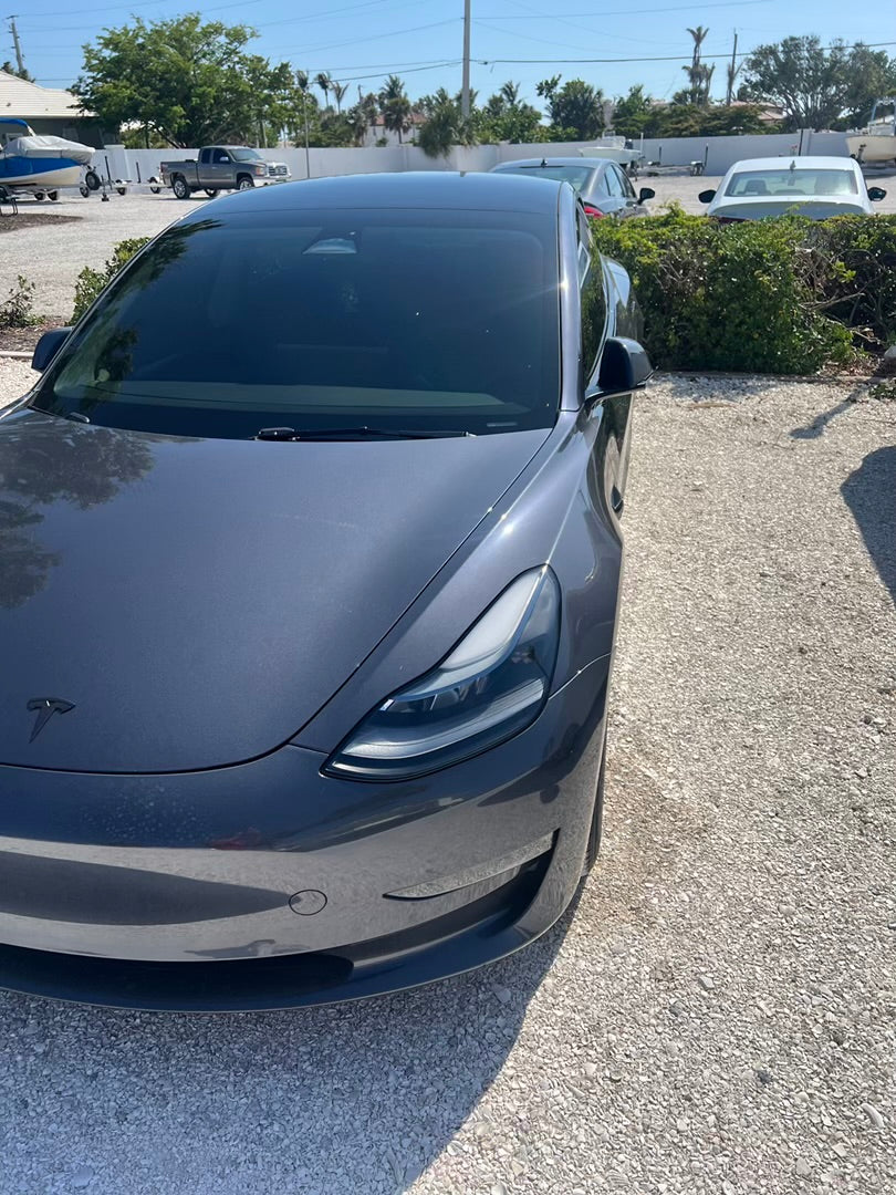 Model 3 Rental Experience