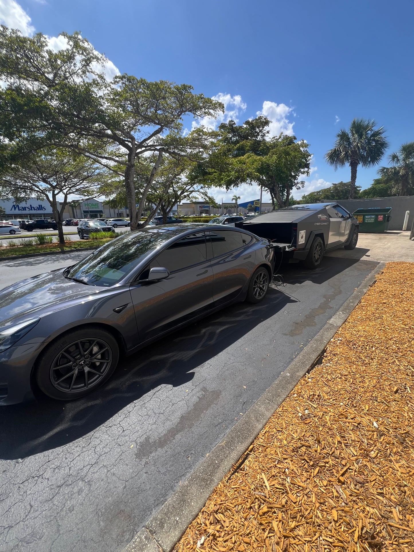 Model 3 Rental Experience