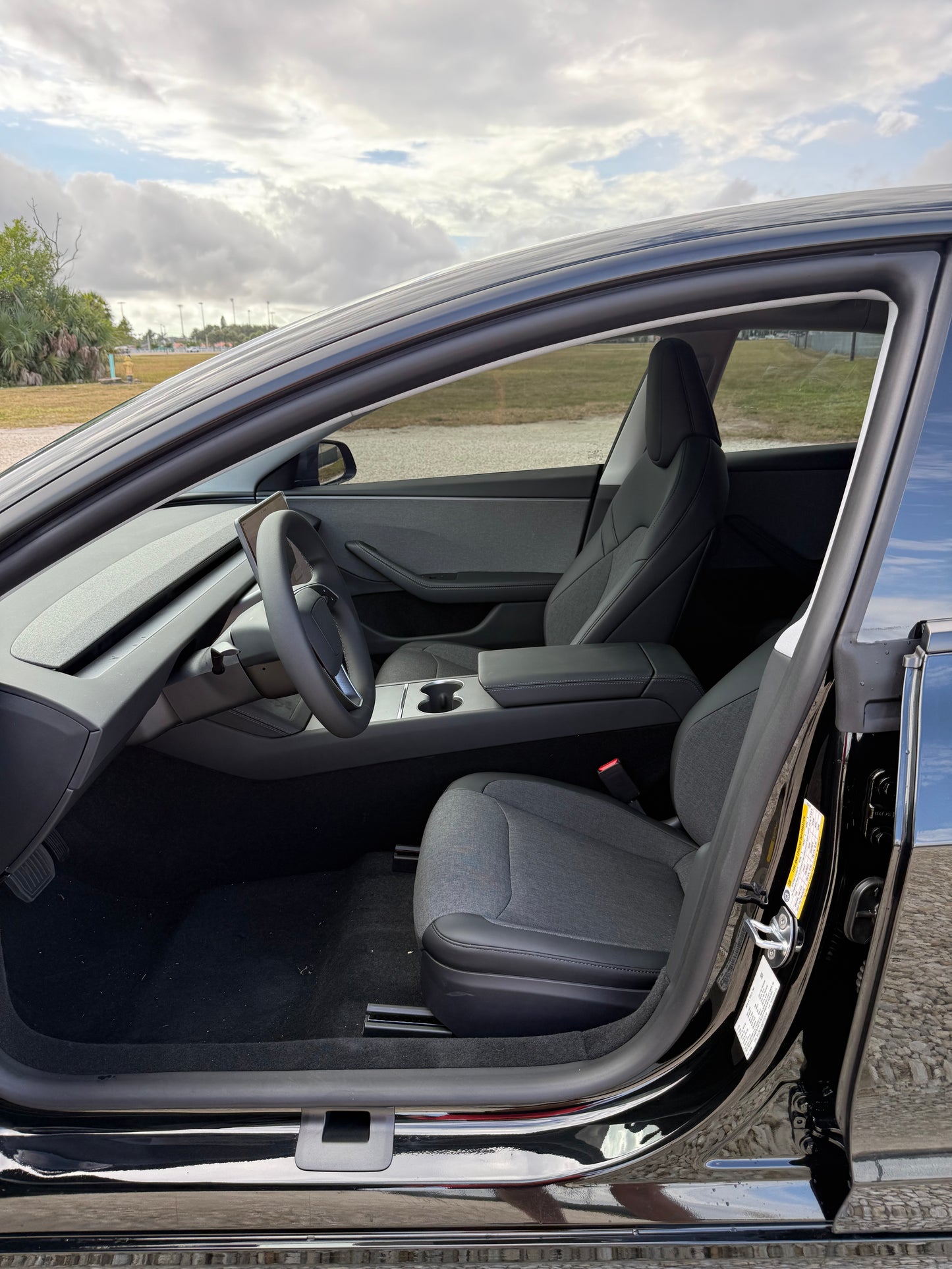 Model 3 Rental Experience